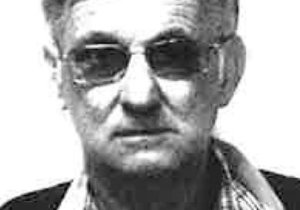 Belangrikheid van skeepsterme